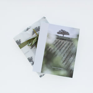 Libro 30 Años Casas del Bosque