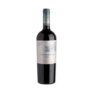 Cabernet Sauvignon Gran Reserva 2023 x 6