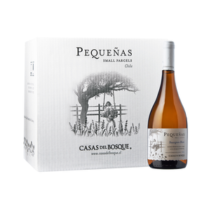 Sauvignon Blanc Pequeñas 2025 x 6